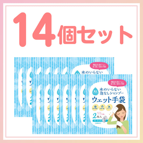【単品】水のいらない泡なしシャンプー(2枚入)